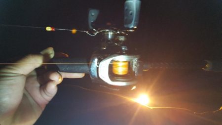 どこへ行ってもカサゴばかり