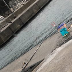 久しぶりの餌釣り