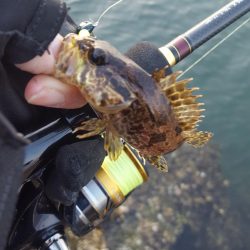 爆風のなか無理矢理風裏に行きメバリング