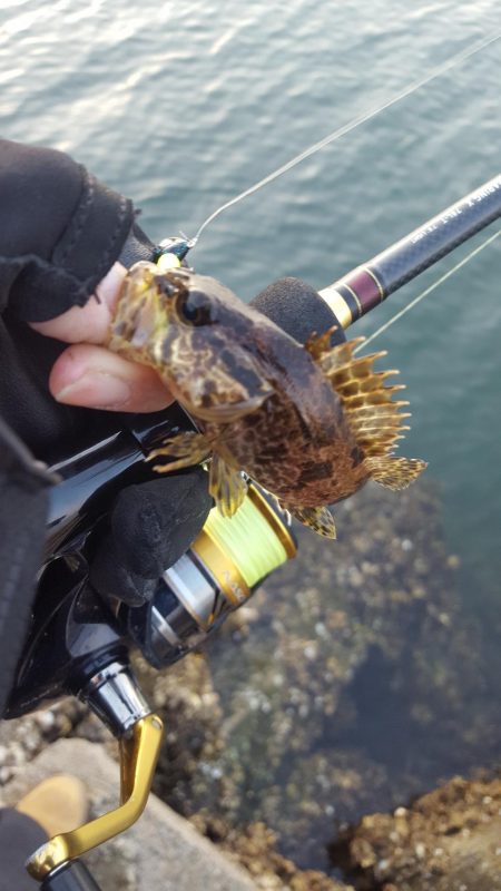 爆風のなか無理矢理風裏に行きメバリング