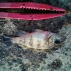 食品コンビナートにて