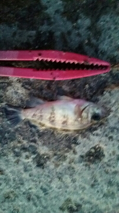 食品コンビナートにて