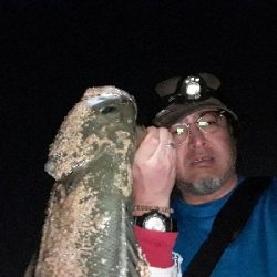 おひさのナイトゲーム