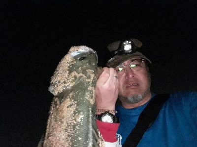 おひさのナイトゲーム