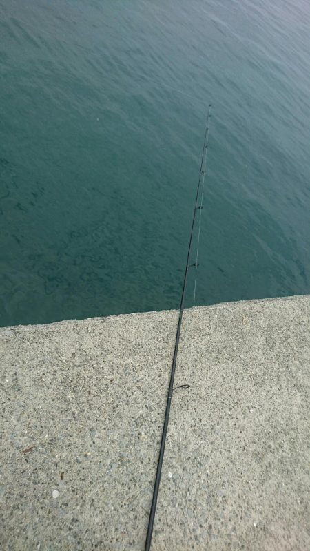 今年初キス釣り