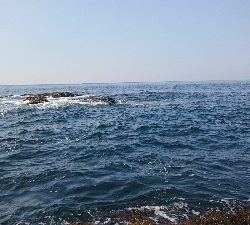 ショアジギ&穴釣り