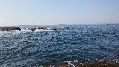 ショアジギ&穴釣り