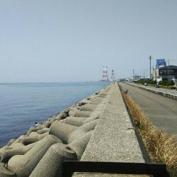 穴釣りでガシラ