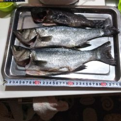 新地開拓の末に