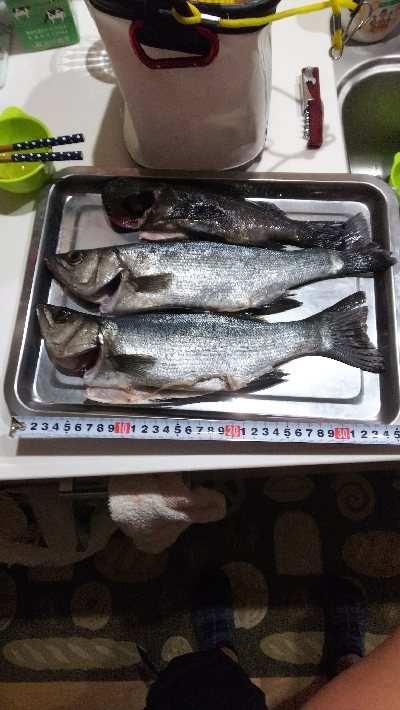 新地開拓の末に