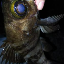 パターン変化か？