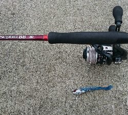 雨天前にシーバス