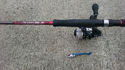 雨天前にシーバス