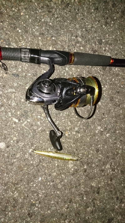 シーバス・ナマズ