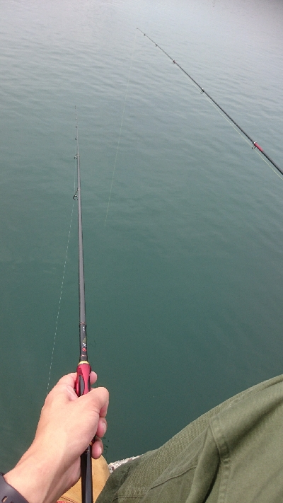 小サバ大漁！！