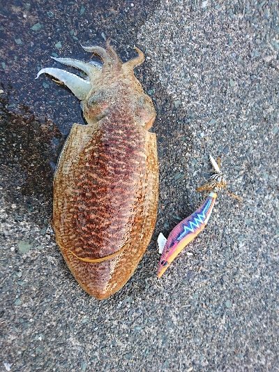 久しぶりにメンバー揃って(^^)