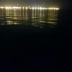 ボラボラボラ。