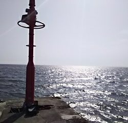 ジグでアカエイ2