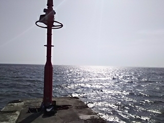 ジグでアカエイ2