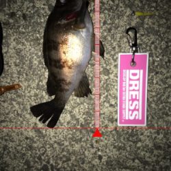 フルムーンメバリング