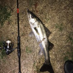 久しぶりの釣行