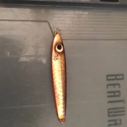 今年初釣果  エソ