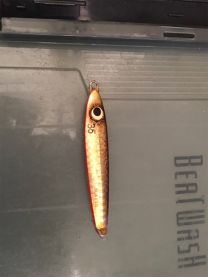 今年初釣果  エソ