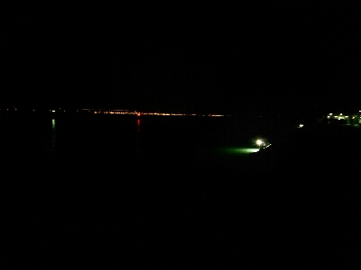 メバルはお留守?