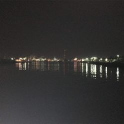 バチはいずこへ