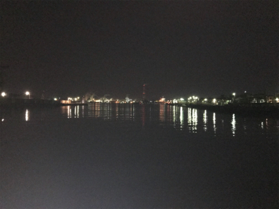 バチはいずこへ