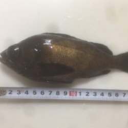 ハプニングにめげず