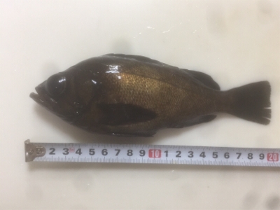 ハプニングにめげず