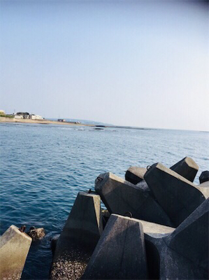 楽しみました。