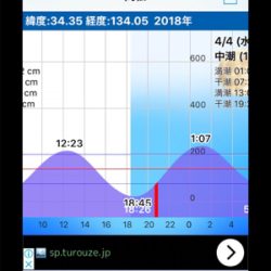 マイクロバチパターン