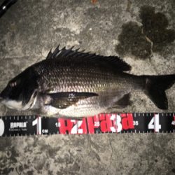 雨風が強くなる前に！