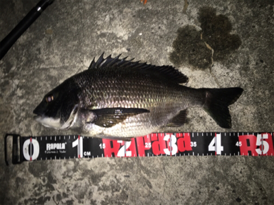 雨風が強くなる前に！