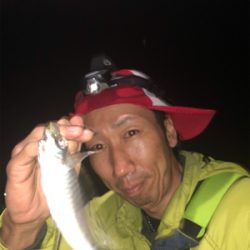 アジを求めて〜初淡路島アジング釣行♪