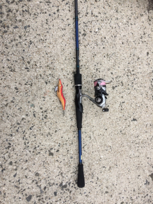 大島でエギング