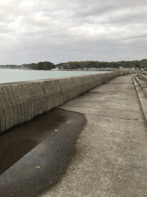 まさかのドラゴン！