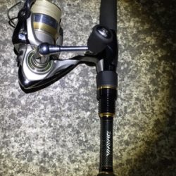 キビレゲット！