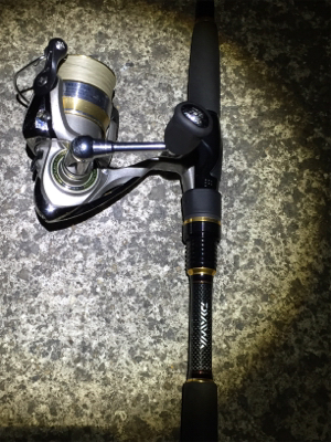 キビレゲット！