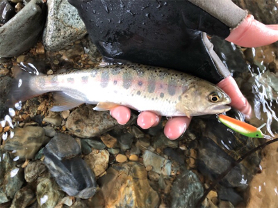 午後のひととき