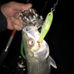 バチパターン開幕？