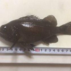 2打数1安打やけど幸せ