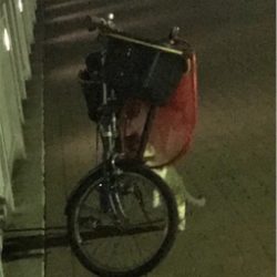 シーバス釣れまてん