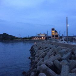 3投目で釣れたっ！