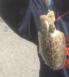 コウイカチャレンジ☺️