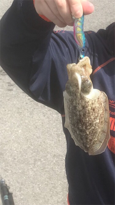 コウイカチャレンジ☺️