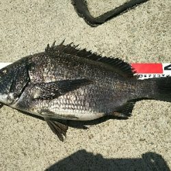 ズボ釣りで満足釣行