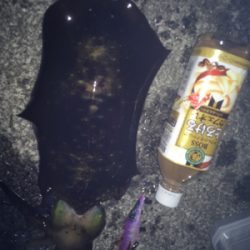 時合いにぱたぱた